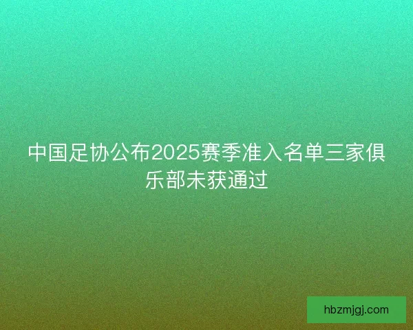 中国足协公布2025赛季准入名单三家俱乐部未获通过